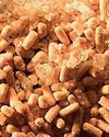 Yeast Drying Demands More Than Heat Yeast Drying Demands More Than Heat16