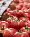 Food & Beverages Processing