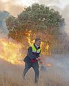 España arde: los incendios devoran nuestro país0
