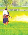 Kanmani