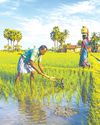 நிராகரிப்பின் வலி! நிராகரிப்பின் வலி!7