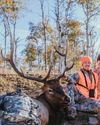 Too Many Elk
