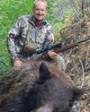 Black Bear On Sheep Mountain