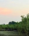 হেমন্তে অরণ্যে হেমন্তে অরণ্যে
