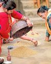 ‘অঘ্রানে তোর ভরা ক্ষেতে...'1