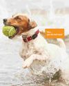 SMARTPHONE TECH KEEPS TABS ON PETS Techlife News