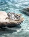 WHITE DIVERS17