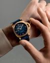 THE CASE FOR BRONZE THE CASE FOR BRONZE16