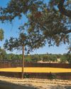 ANDRÉS ROCA REY EL DIESTRO QUE BATE RÉCORDS, REFLEXIONES CON «¡HOLA!» EN «LA CONSENTIDA», SU FINCA SEVILLANA, SOBRE LOS SUEÑOS CUMPLIDOS, LA FAMILIA Y EL AMOR0