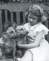LOS CORGIS DE LA REINA ISABEL II3