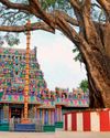Vanitha