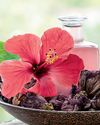 Vanitha