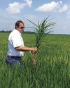 Silent Shade Planting Company Aims to Be a 'Farm for the Future'