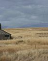 The Upland Almanac