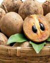 சப்போட்டாவின் மருத்துவ குணங்கள்!11
