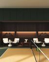 THE PICKLEBALL PHENOMENON THE PICKLEBALL PHENOMENON1