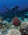 BELOW THE SURFACE11