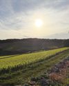 BURGUNDY 2023: BEAUTIFUL DRINKABILITY27