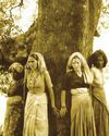 MANY MYTHS OF CHIPKO