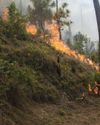 Himalayan fire shift6