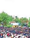 பங்குனி உத்திர வைபவம்! Penmani