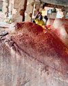 வளரும் நந்தி வளரும் நந்தி6