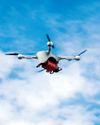 Business Traveler US
