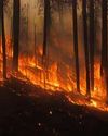 Mapping Flames Leveraging Remote Sensing and GIS for Forest Fire Prevention