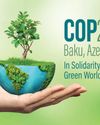 India's Roadmap to COP33 Rethinking Climate Finance Post-COP291