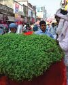 Indian Cities are Baking Here's How to Dial Down the Heat Indian Cities are Baking Here's How to Dial Down the Heat