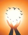 India's CSR Evolution39
