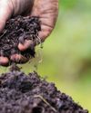 Thriving Fields Enhancing Soil Health and Crop Production with Less Inputs Thriving Fields Enhancing Soil Health and Crop Production with Less Inputs