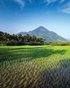 Addressing Climate Change through Agroecology Insights from the JIVA Programme12