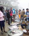Harnessing Decentralized Renewable Energy for Sustainable Aquaculture in Assam8
