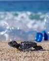 Global Plastics Treaty Challenges and Way Forward TerraGreen