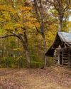 ARKANSAS Bear Camp