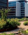 Australia's first Indigenous Rooftop Farm