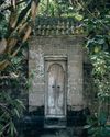 Untamed BALI