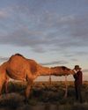 A CAMEL ODYSSEY COMPLETE