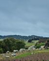 HEATHCOTE BOUND HEATHCOTE BOUND