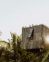 MELLOW MEXICO13