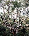 Nature's escape11