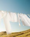 Home hints - D-I-Y tips32