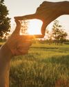The Power of Positivity8