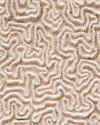 The Stone- Eating Worm Domus India