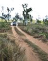 IN LEICHHARDT'S FOOTSTEPS IN LEICHHARDT'S FOOTSTEPS