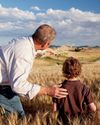 Are investment bonds the new will?9