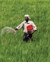 Fertiliser Fear7
