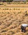 Can Rural India Weather a Weak Monsoon? Can Rural India Weather a Weak Monsoon?1