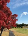 Golf Asia